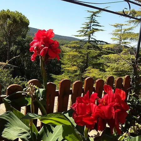 Apartment Castellino4holidays